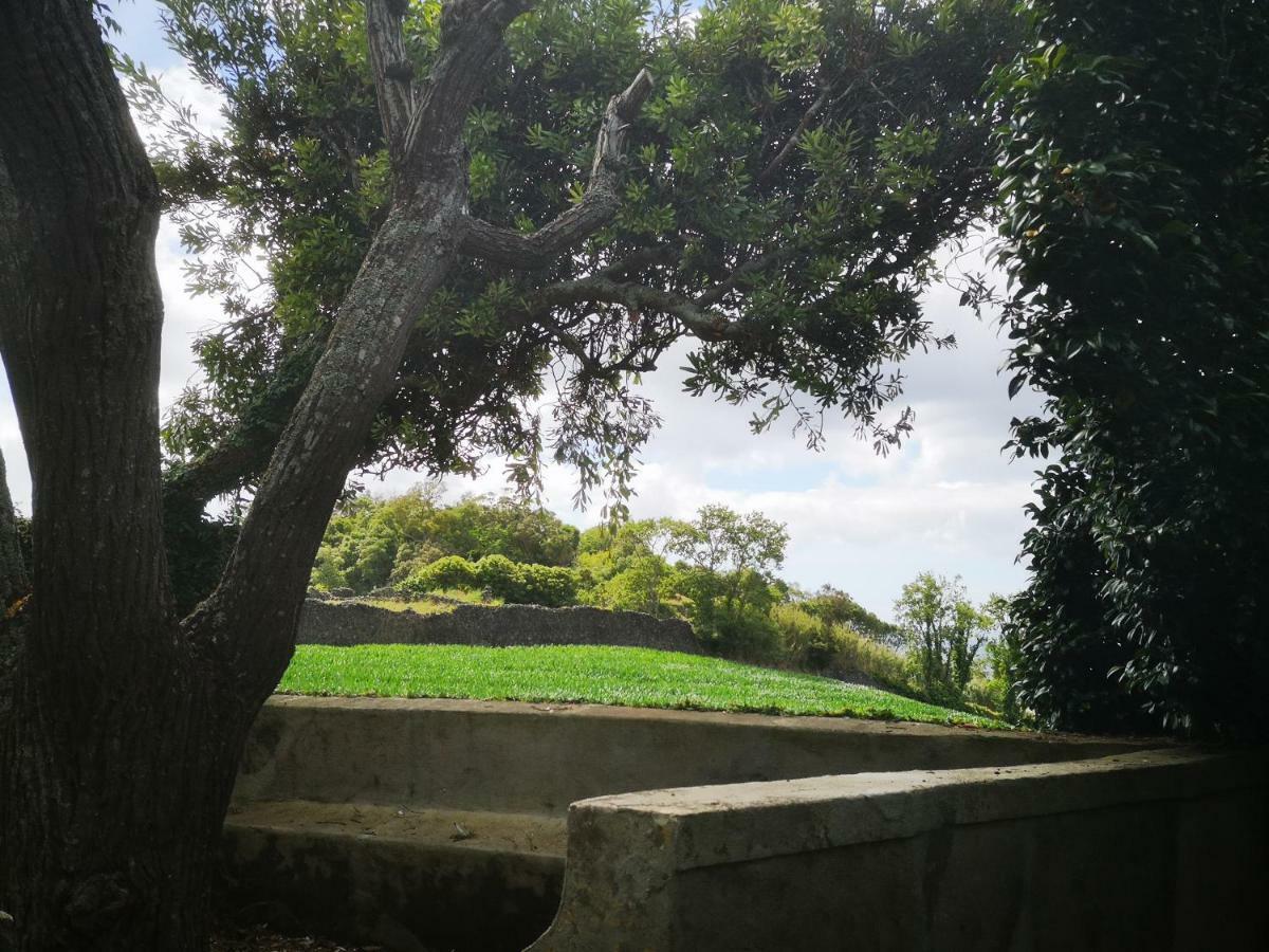Quinta Das Camelias - Acores Ponta Delgada Eksteriør bilde